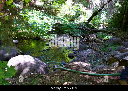 Untere Deer Creek Falls Fisch Passage Projekt. Stockfoto