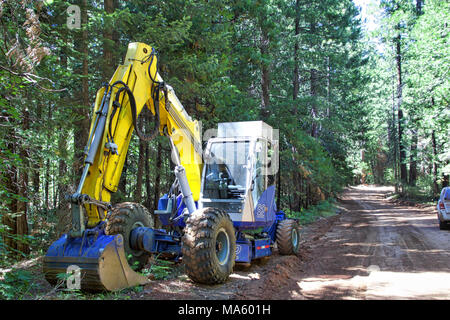 Untere Deer Creek Falls Fisch Passage Projekt. Stockfoto