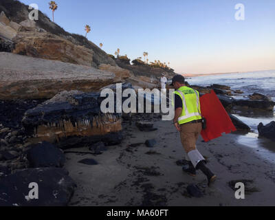 Refugio Öl Antwort Wildlife. Wildlife operations Crew reagiert der geölten Vogel westlich von Refugio State Beach am 20. Mai 2015 Bericht zu erstatten. Stockfoto