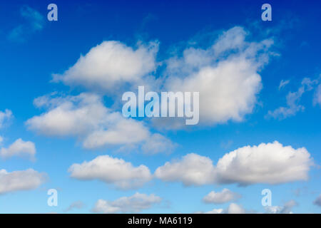 Wolkenlandschaft mit dunklen und hellen, mittelgroßen Wolken, die vom warmen Licht der untergehenden Sonne gegen den blauen Himmel erleuchtet werden. Stockfoto