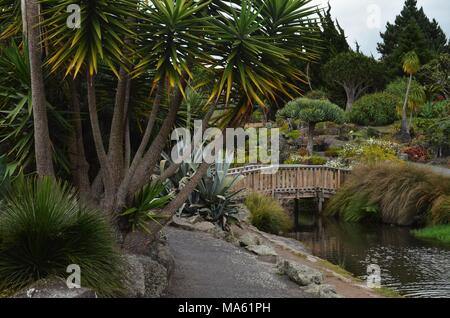 Brücke über den kleinen Fluss durch botanischer Natur umgeben Stockfoto