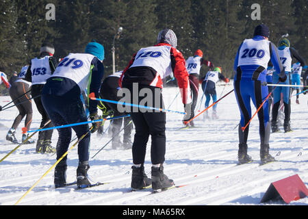 Closeup Füße Gruppe Athleten laufen verschneiten Pfad im Wald Stockfoto