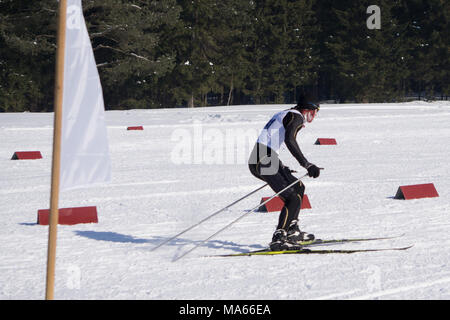 Skifahrer Wettbewerb im Wald. wenige Skifahrer im Winter Straße fahren. Rückansicht. Das Konzept eines aktiven Lebensstils im Winter Stockfoto