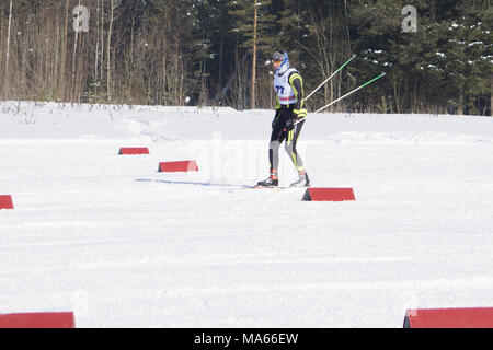 Russland Berezniki, 11. März 2018: Der junge Athlet läuft auf Ski im Gelände einer Winter Forest Stockfoto