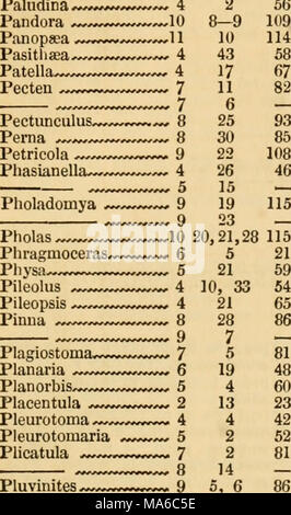 . Die Elemente der fossilen conchology; nach der Anordnung von Lamarck; mit der neu gegründeten Gattungen von anderen Autoren Stockfoto