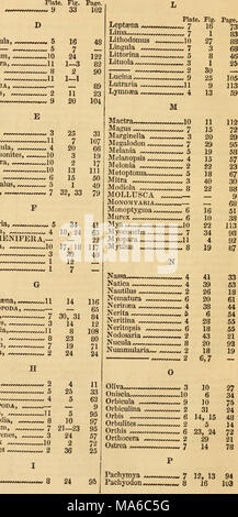 . Die Elemente der fossilen conchology; nach der Anordnung von Lamarck; mit der neu gegründeten Gattungen von anderen Autoren Stockfoto