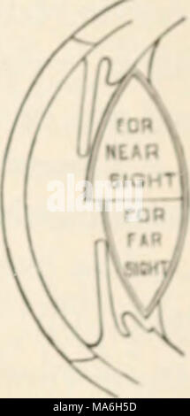 . Elemente der Biologie; ein praktisches Lehrbuch Korrelation von Botanik, Zoologie, und die menschliche Physiologie Stockfoto