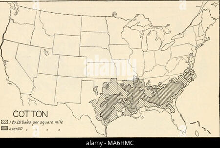 . Elemente der Biologie; ein praktisches Lehrbuch Korrelation von Botanik, Zoologie, und die menschliche Physiologie Stockfoto