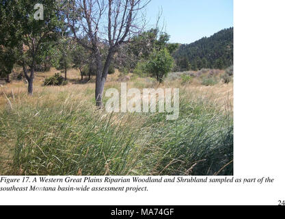 . Südosten Montana Feuchtgebiet Bewertung: die Entwicklung und Verfeinerung von Montana Feuchtgebiet Bewertung und Überwachung der Strategie. Stockfoto