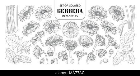 Eingestellt von isolierten Gerbera in 26 Arten. Süße Hand gezeichnet Blume Vector Illustration in schwarzer Umriss und weißen Ebene auf weißem Hintergrund. Stock Vektor