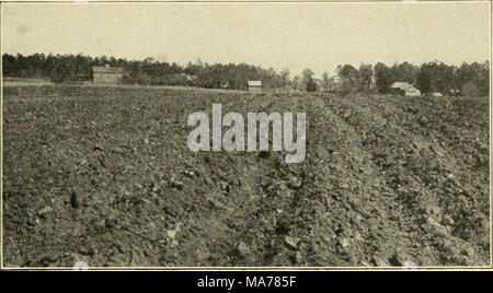 . Elementare Landwirtschaft. Mit freundlicher Genehmigung US Abt. Landwirtschaft Abb. 55a. Ein Feld in der schlechten Ernte. Pflanzen in solchen cloddy Böden haben eine kleine chanct. Stockfoto