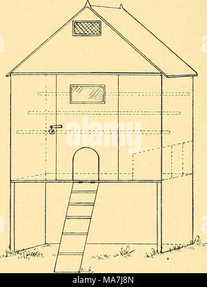 . Eier und Geflügel Heben zu Hause. Abb. 17.- Haus mit trockenen Unterschlupf. Vögel vom Wind geschützt, und der Raum unter dem Haus wird der erforderliche Schutz vor dem Regen bieten. Das System ist vielleicht nicht ganz so gründlich wie die Kratzen-Halle in einem früheren Kapitel erwähnt, aber es ist billiger, und im Frühjahr und Sommer mindestens die Vögel in der Luft besser sind. In diesem Fall muss der Durchlauf entweder von Kies oder von trockenen Asche sein. Versuchen Sie niemals, eine kleine mit Gras überwachsen zu halten, für die sie gebunden ist Foul zu werden und schlammig, und die Vögel weit Stockfoto