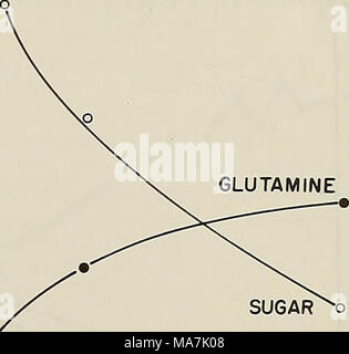 . Effiziente Nutzung von Stickstoff auf Ernte land im Nordosten. 58 UHR 57 56 ZUCKER^o 55a: (S&gt; 54 3 en 53 z u52 o f: UJ 51a. 0 1 (0 DÜNGER N, kg/ha 440 50 49 48 Abbildung 5. Die Konzentration von Glutamin und Zucker in Tabelle Zuckerrüben Wurzeln OS Prozent der Trockenmasse. Dünger war vor dem Einpflanzen hinzugefügt. (N.H. Peck, New York) Stockfoto