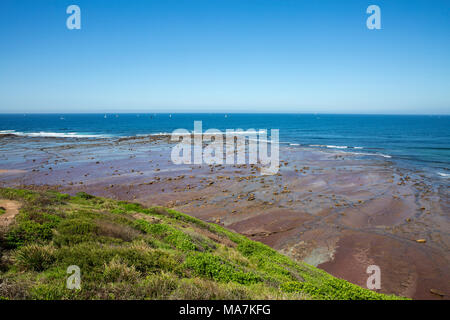 Long Reef Point und aquatischen buchen Northern Beaches von Sydney, New South Wales, Australien Stockfoto