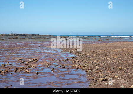 Long Reef Point und aquatischen buchen Northern Beaches von Sydney, New South Wales, Australien Stockfoto