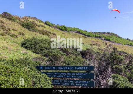 Long Reef Point und aquatischen buchen Northern Beaches von Sydney, New South Wales, Australien Stockfoto