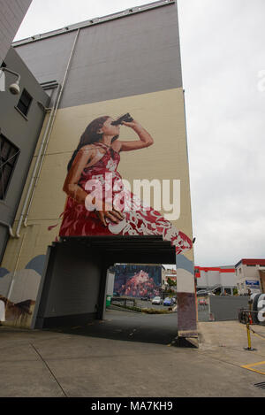 Street-Art, Dunedin, Neuseeland Stockfoto