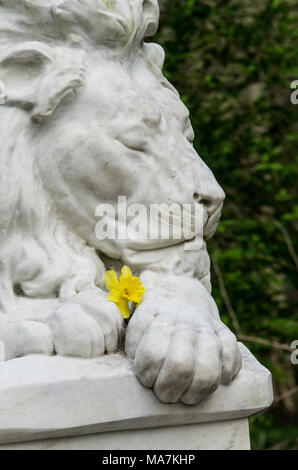 Statue eines männlichen Löwen ebs geschlossen friedliche Meinungsäußerung Holding eine gelbe Narzisse in Abney Park Friedhof, Stoke Newington, Hackney, London, England, Großbritannien Stockfoto