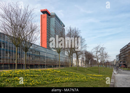 Auf dem Campus der Technischen Universität Delft mit Gebäuden und Feld des Narziß. Stockfoto