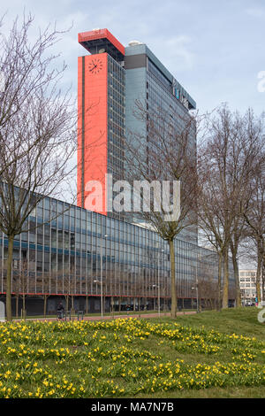 Auf dem Campus der Technischen Universität Delft mit Gebäuden und Feld des Narziß. Stockfoto