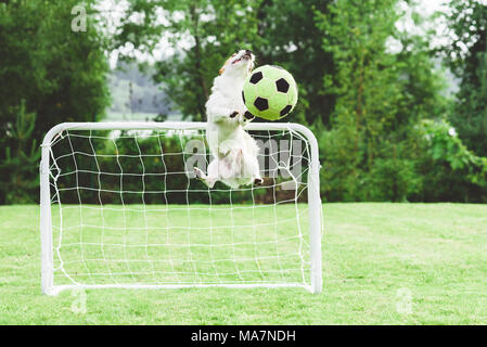 Comic Hund fangen Fußball (Fußball) Kugel speichern Ziel der Kinder Stockfoto