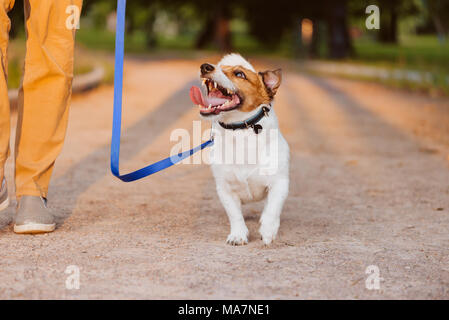 Bitte Hund an der Leine zu Eigentümer Wandern im Park Stockfoto