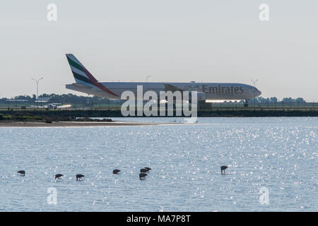 Ebene in der Internationalen Flughafen Larnaca und Salt Lake mit einigen Flamingos im Winter Stockfoto