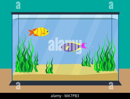 Bunte exotische Fische in einem Aquarium mit Algen und Sand auf dem Boden. Vector Illustration, flach Stock Vektor