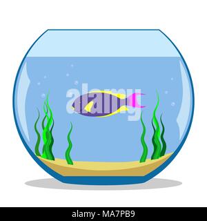 Bunte exotische Fische in einem Aquarium mit Algen und Sand auf dem Boden. Vector Illustration, flach Stock Vektor
