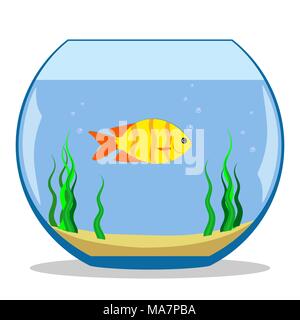 Bunte exotische Fische in einem Aquarium mit Algen und Sand auf dem Boden. Vector Illustration, flach Stock Vektor