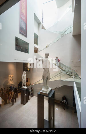 Oxford. England. Das Ashmolean Museum, das Atrium. Statue des Apollo (Vordergrund) in der Zvi und Ofra Meitar Familienkasse Atrium. Stockfoto