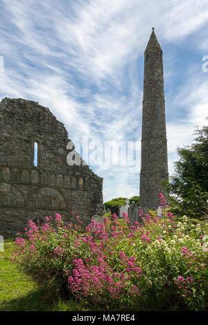 Die Ruinen von Ardmore Kathedrale und Rundturm, County Waterford in Irland. Stockfoto