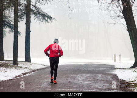 Alter Mann runner läuft durch Winter Forest der Park von Monza, Italien Stockfoto