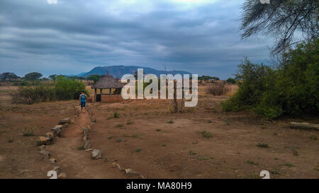 Safari, Tansania, Reisen in Afrika Stockfoto