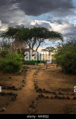 Safari, Tansania, Reisen in Afrika Stockfoto