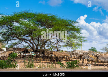 Safari, Tansania, Reisen in Afrika Stockfoto