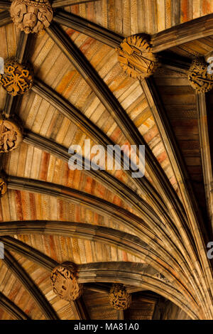 Paisley Abbey & Sehenswürdigkeiten Schottland Stockfoto