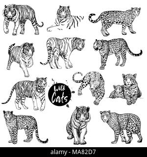 Großer Satz von Hand gezeichnete Skizze stil Leoparden und Tiger auf weißem Hintergrund. Vector Illustration. Stock Vektor