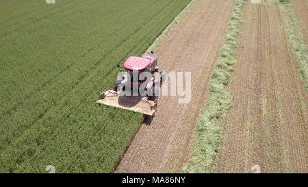 Luftaufnahmen von Red Harvest kombinieren ein grünes Weizenfeld Stockfoto