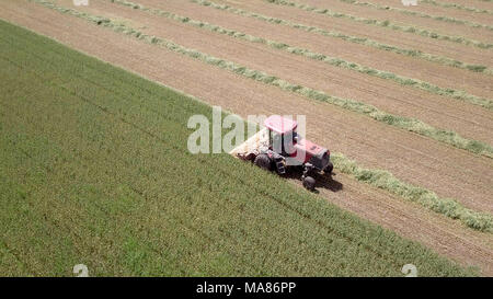 Luftaufnahmen von Red Harvest kombinieren ein grünes Weizenfeld Stockfoto