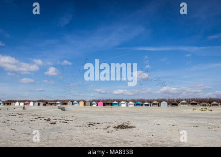 Strandhütten West Wittering Beach Stockfoto