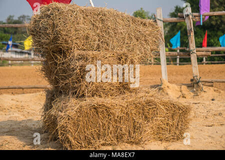 Eine Wand aus rechteckigen Ballen Stroh in einem Feld gestapelt, bevor sie ins Tierheim transportiert werden Stockfoto