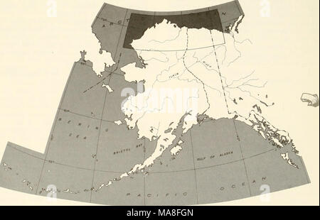 . Ökologische Untersuchungen der Tundra biome in der Prudhoe Bay, Alaska. // Â â¢[/.^o-j^e^o'Â" Stockfoto