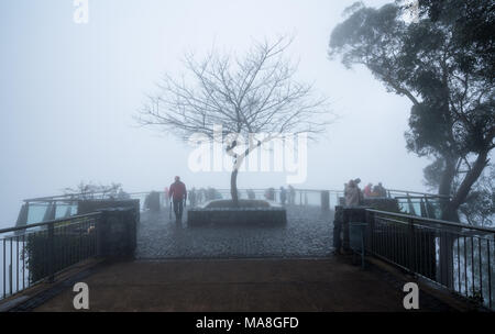 Skywalk und Blick auf Cabo Girao Steilklippe in Madiera Stockfoto