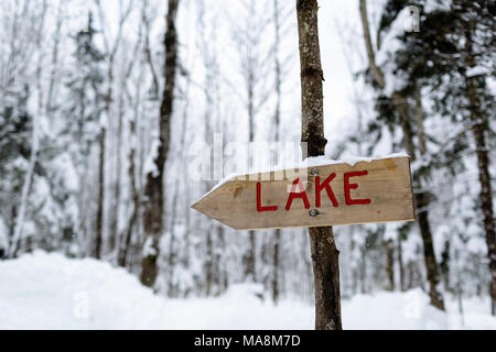 Holz- Hinweisschild zu einem See, auf einem Baum aufgehängt Stockfoto