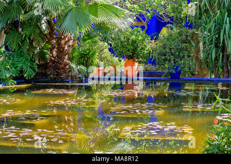 Marokko Jardin Majorelle Garten REFLEXIONEN IN BLAU MIT TERRAKOTTA TOPF UND ANLAGE AUF EINER BLAUEN WAND Stockfoto