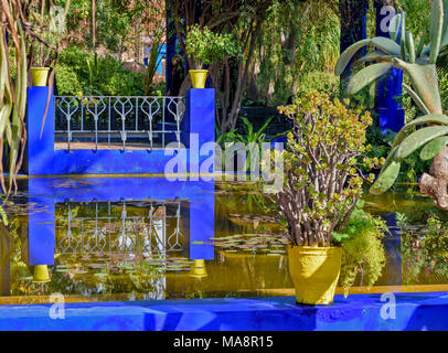 Marokko Jardin Majorelle Garten REFLEXIONEN IN BLAU MIT GELBEN TOPF UND ANLAGE AUF EINER BLAUEN WAND Stockfoto