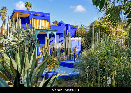 Marokko Jardin Majorelle Garten DAS BLAUE HAUS und gelbe Vorhänge und Kakteen GARTEN MIT MEHREREN SORTEN VON PFLANZEN Stockfoto