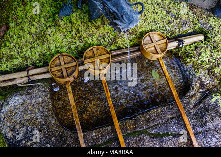 Japanischer Holz- Pfannen bei Shinto Tempel in Kyoto, Japan. In Japan ein tsukubai ist ein Waschbecken am Eingang zu den heiligen Stätten für die Besucher pur zur Verfügung gestellt Stockfoto