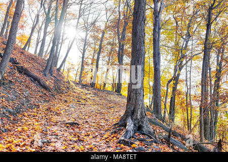 Leere Wanderweg durch bunte orange Laub Herbst Herbst Wald mit vielen Blätter auf dem Weg in Harper's Ferry, West Virginia, Sonne hinter Sunburst t Stockfoto